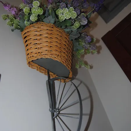 Casa Carolini Apartment *